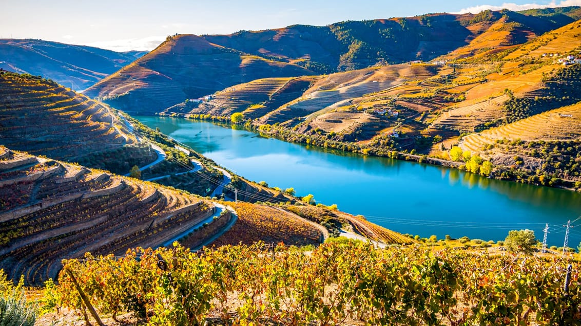 Douro Valley Portugal