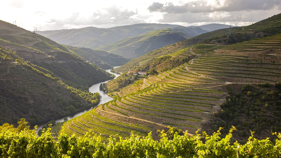 Douro Valley Portugal