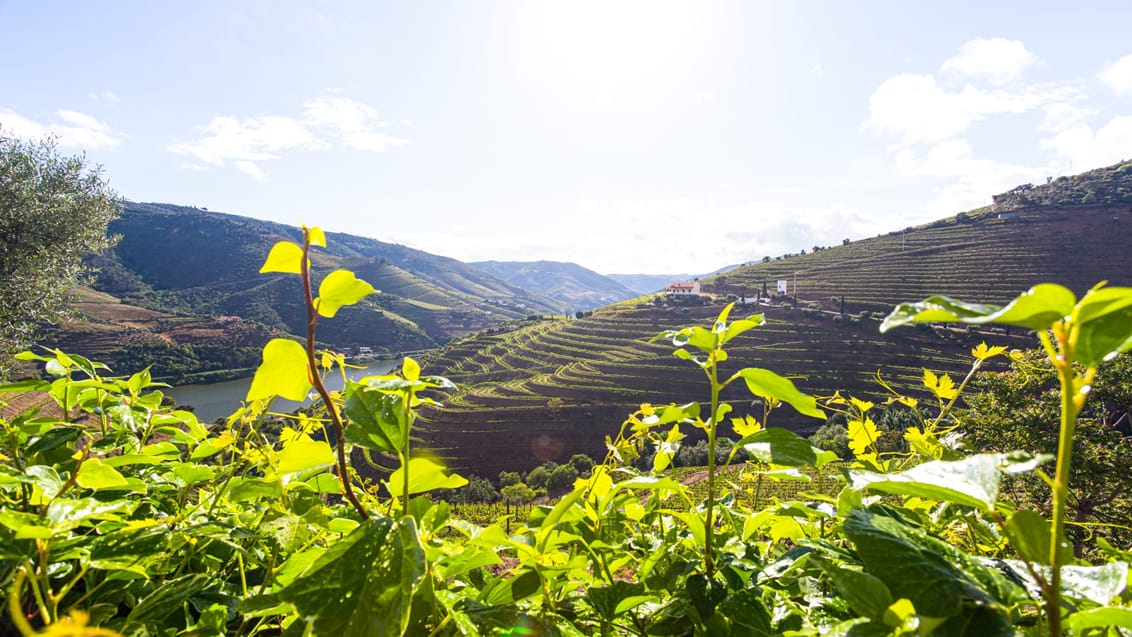 Douro Valley, Portugal