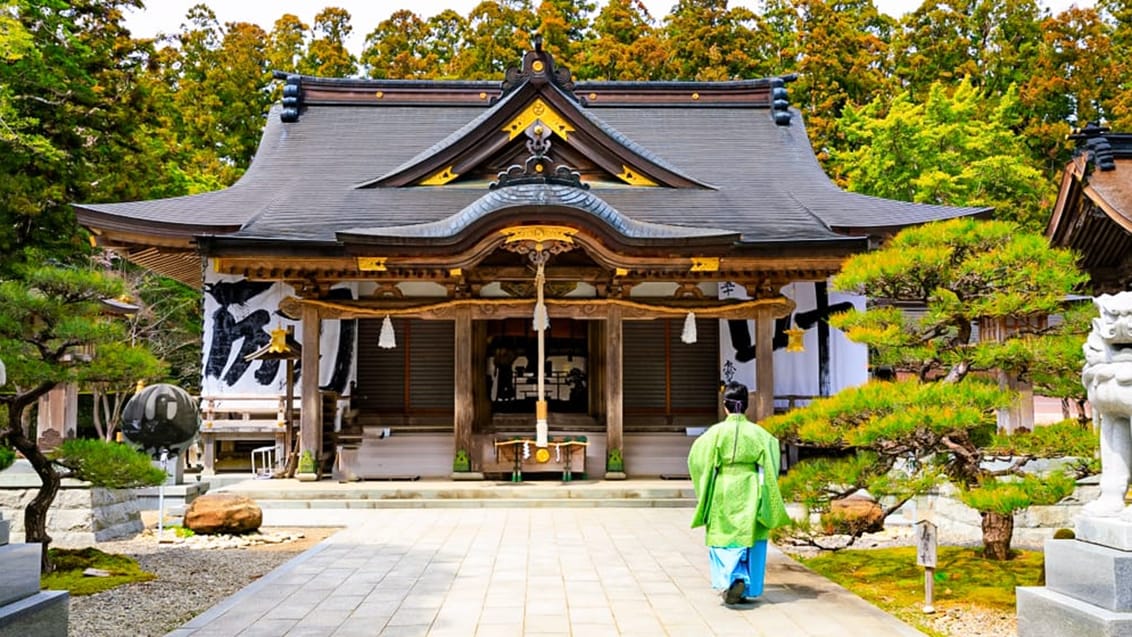Tag med Jysk Rejsebureau på eventyr til Japan