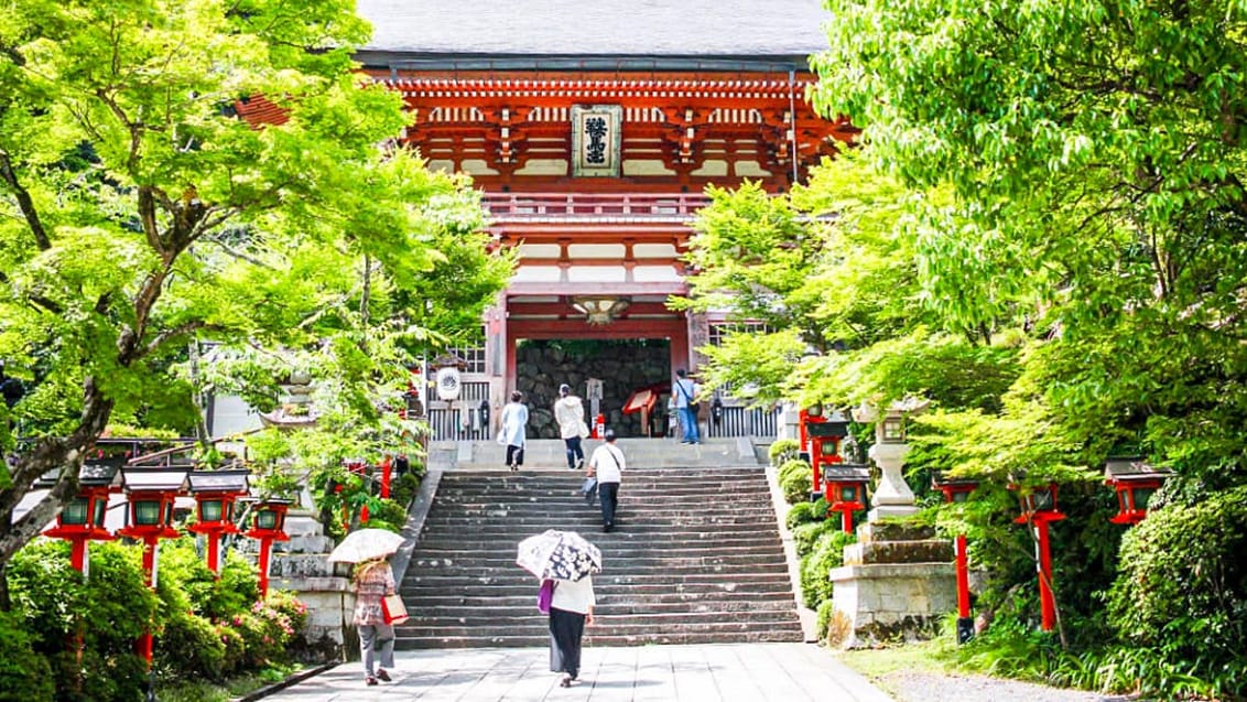 Tag med Jysk Rejsebureau på eventyr til fantastiske Japan