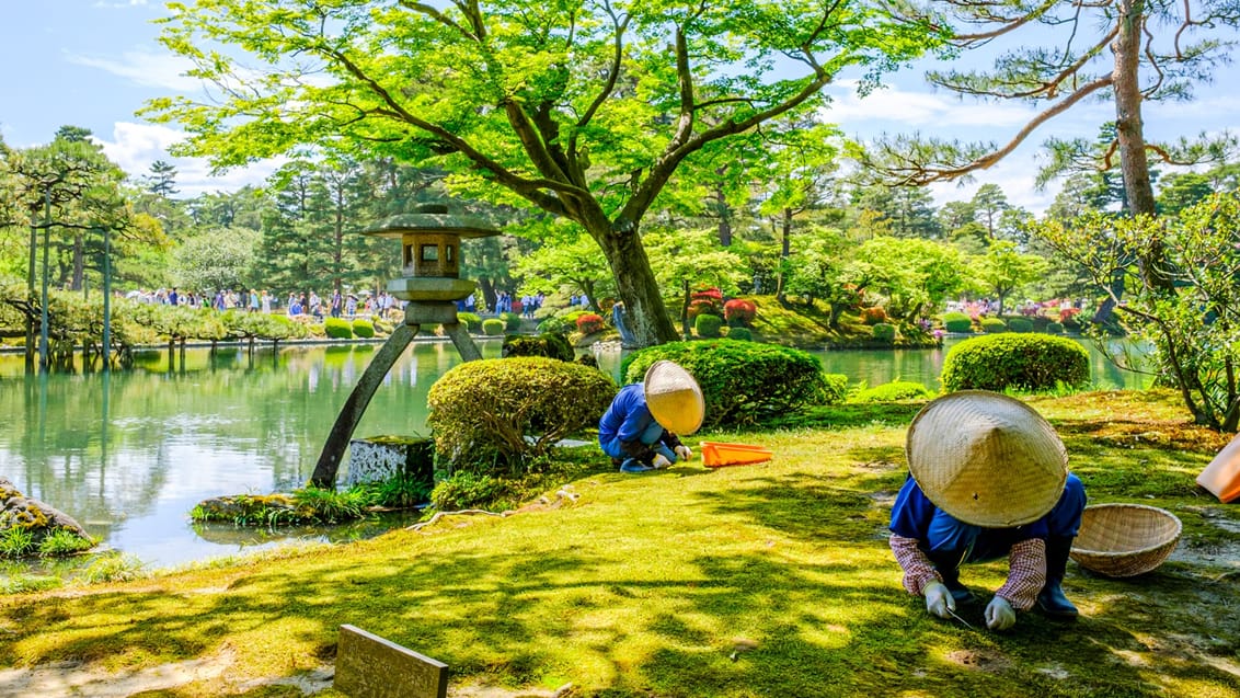 Tag med Jysk Rejsebureau på eventyr til fantastiske Japan