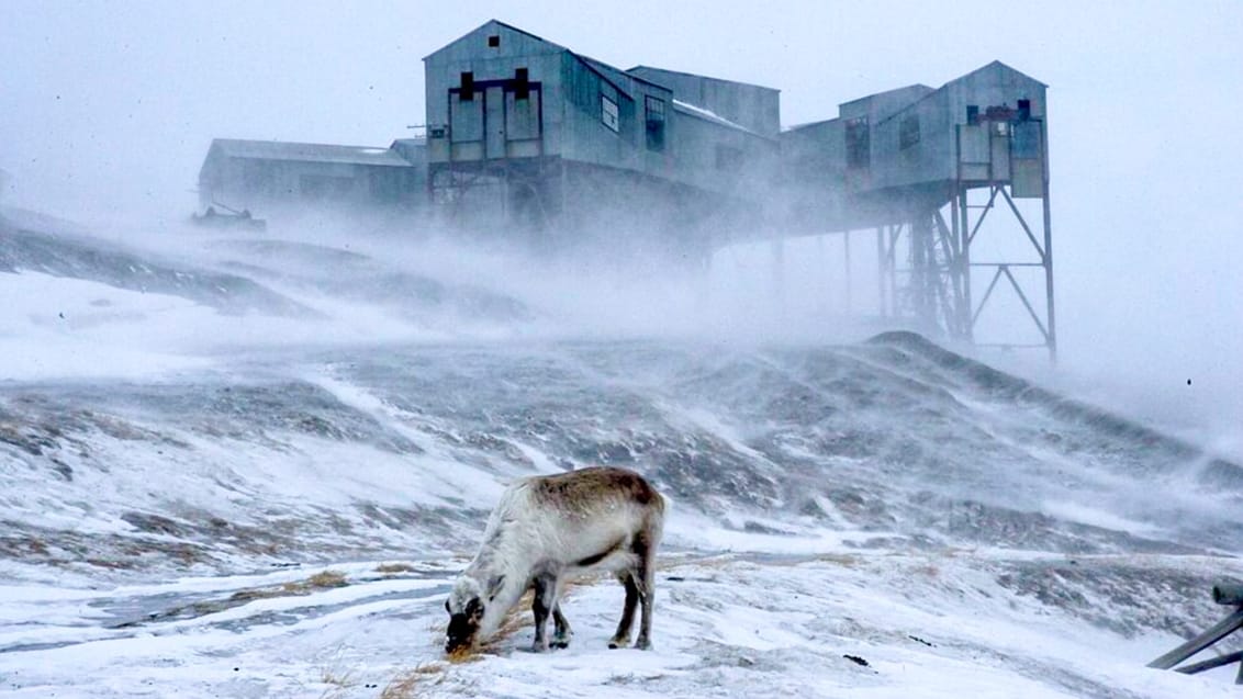 Tag med Jysk Rejsebureau på eventyr til Svalbard