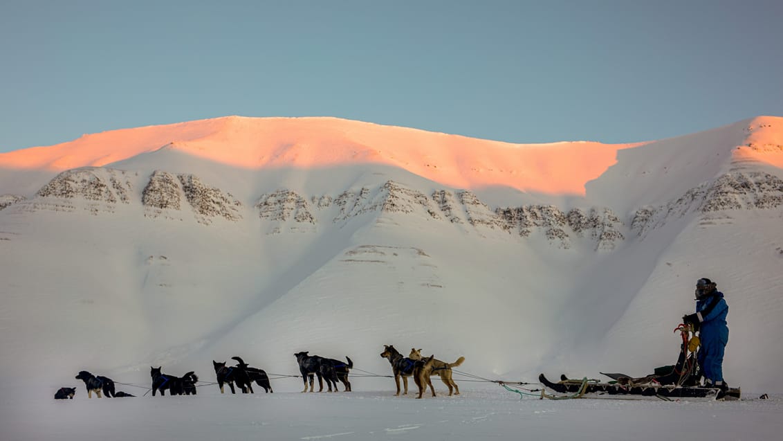 Tag med Jysk Rejsebureau på eventyr til Svalbard