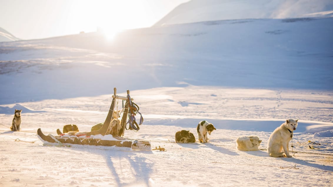 Tag med Jysk Rejsebureau på eventyr til Svalbard