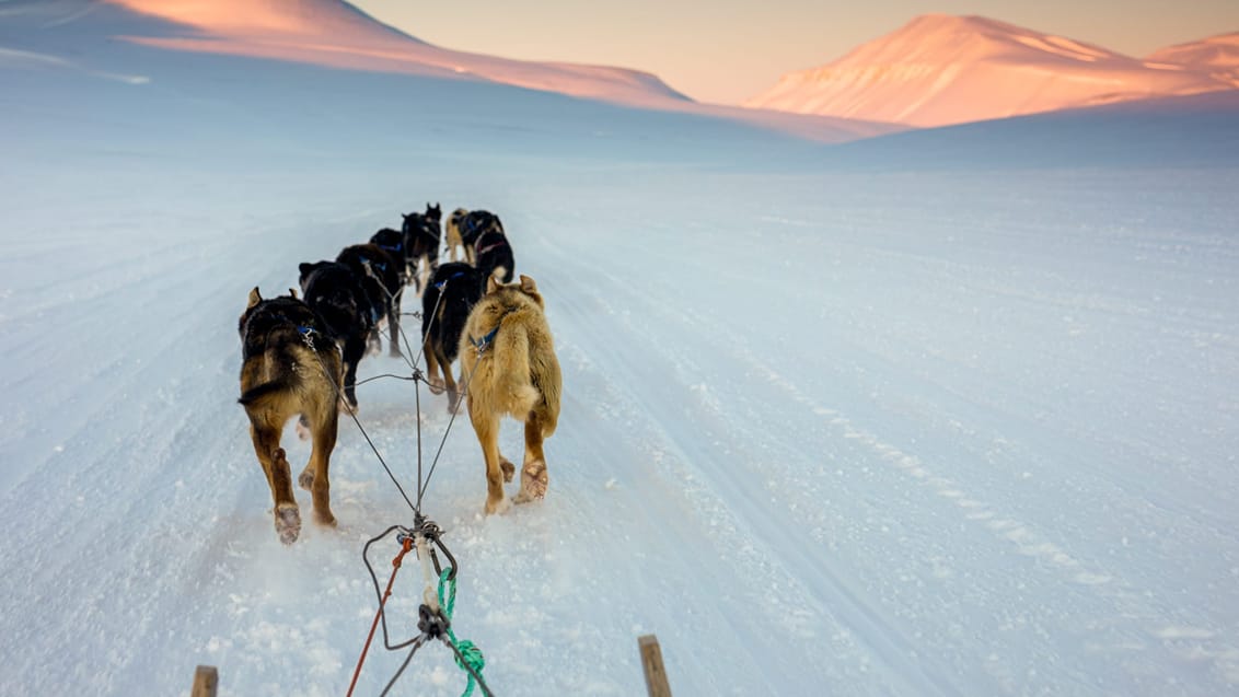 Tag med Jysk Rejsebureau på eventyr til Svalbard