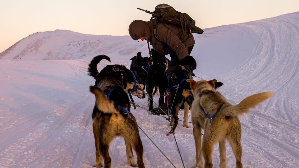 Tag med Jysk Rejsebureau på eventyr til Svalbard