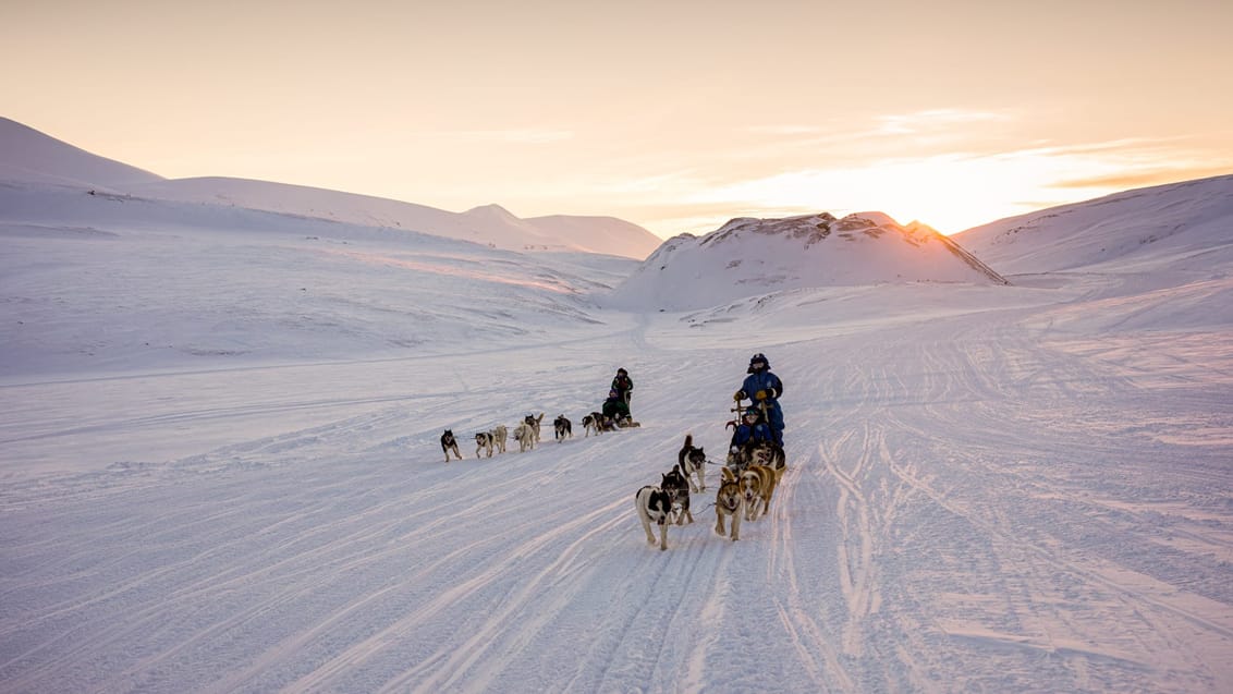 Tag med Jysk Rejsebureau på eventyr til Svalbard