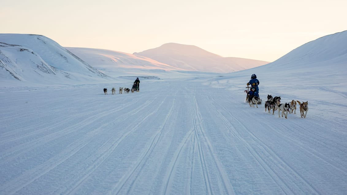 Tag med Jysk Rejsebureau på eventyr til Svalbard