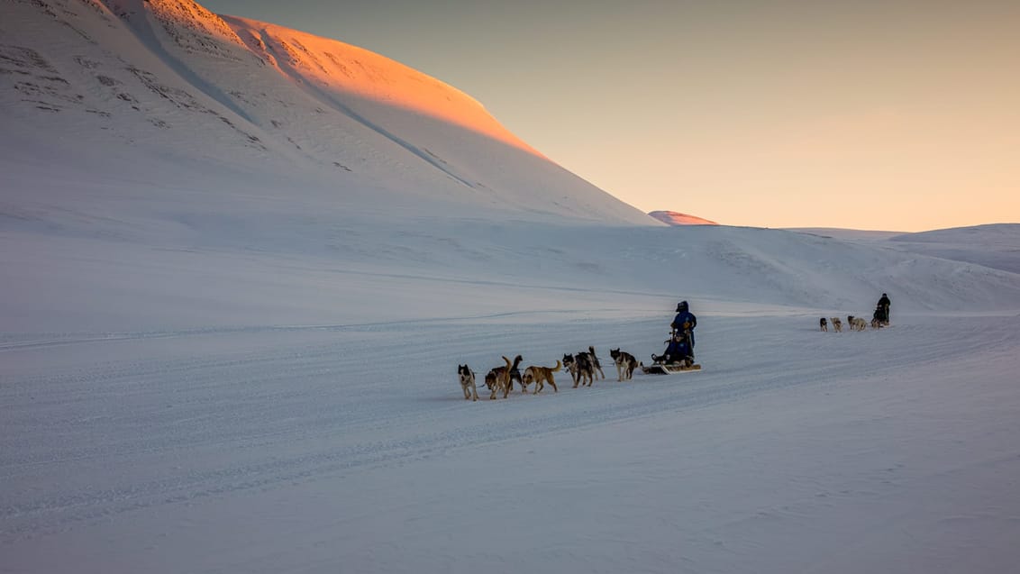 Tag med Jysk Rejsebureau på eventyr til Svalbard