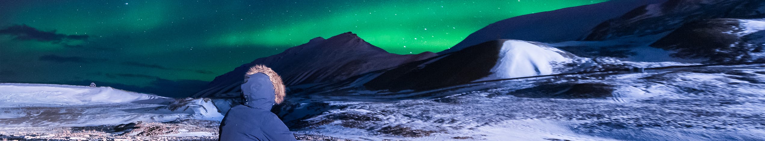 Nordlys og hundeslæde på Svalbard