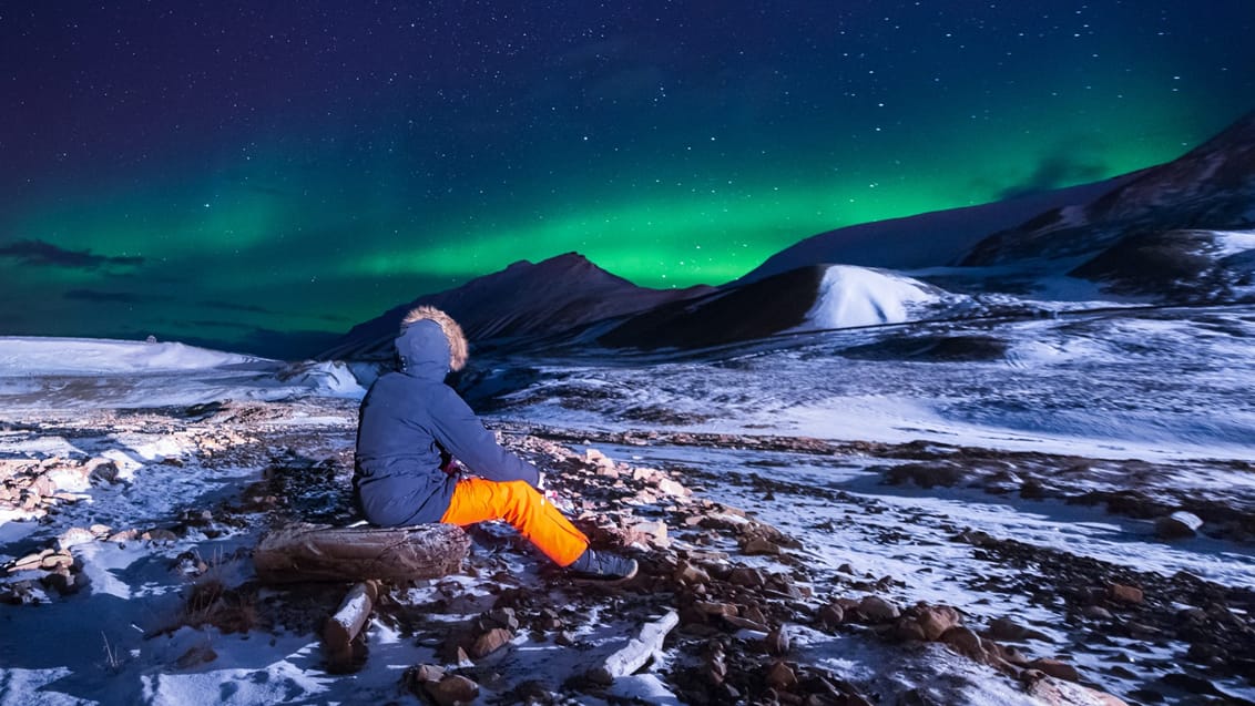 Nordlys og hundeslæde på Svalbard