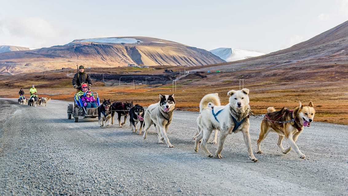 Tag med Jysk Rejsebureau på eventyr til Svalbard