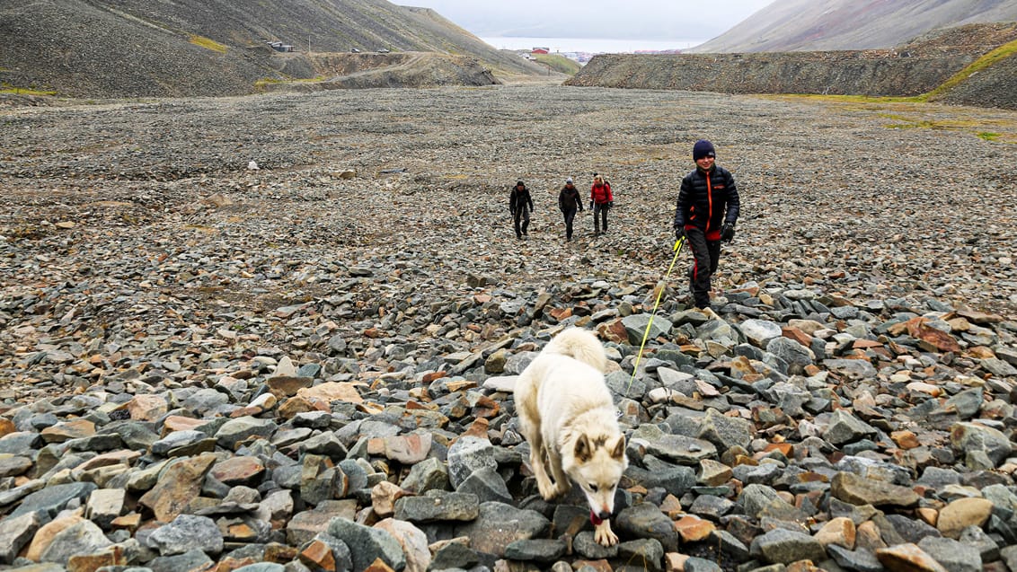 Tag med Jysk Rejsebureau på eventyr til Svalbard