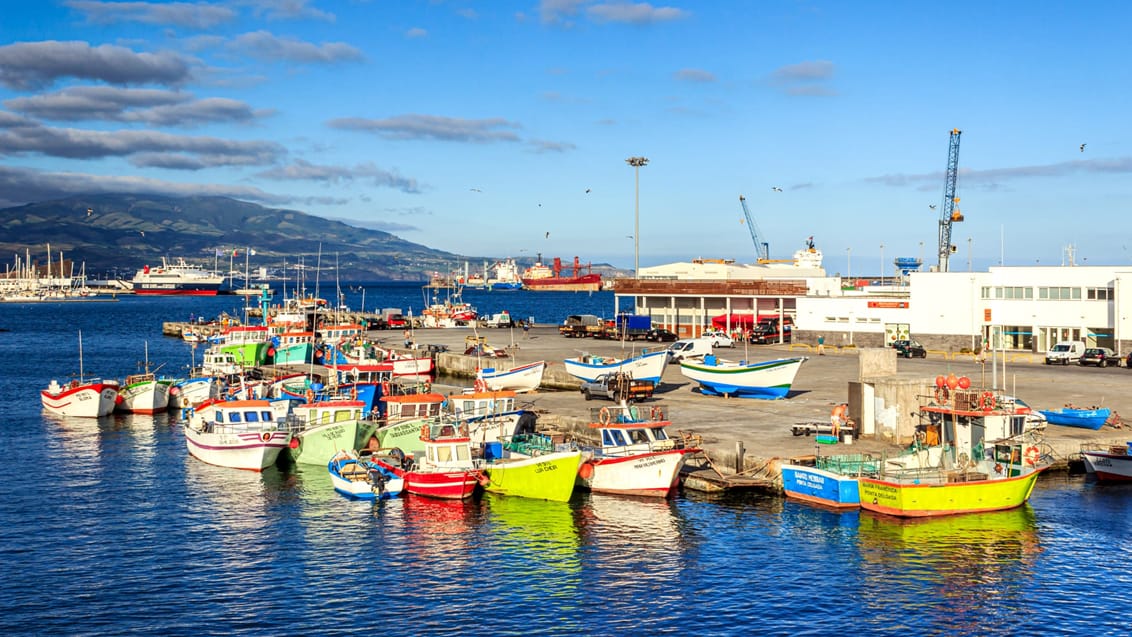 Azorerne - Ponta Delgada