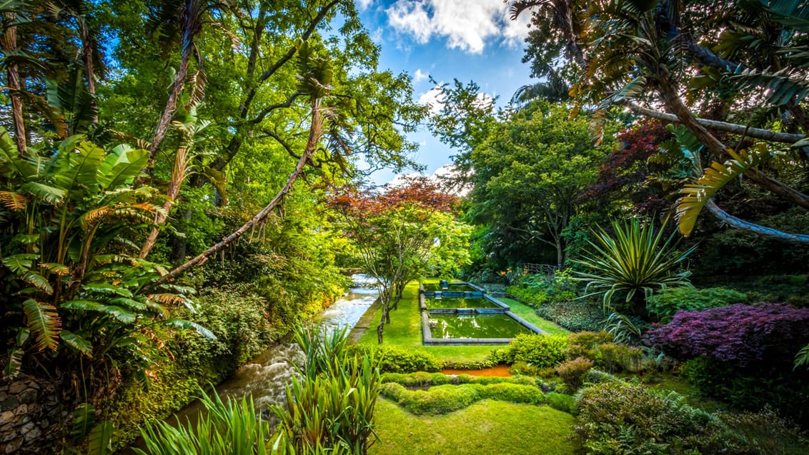 Azorerne - Terra Nostra Park