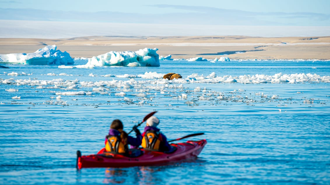 Tag med Jysk Rejsebureau på eventyr til Svalbard