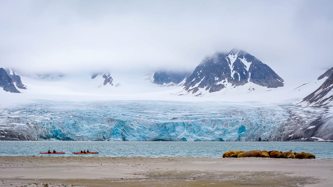 Svalbard adventure ekspedition