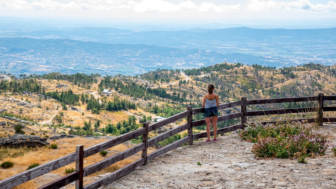 Serra Da Estrela