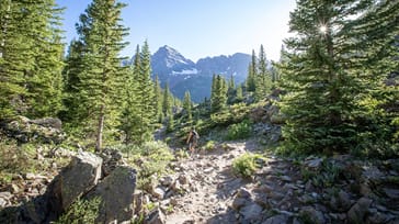 Roadtrip gennem USAs vildeste nationalparker