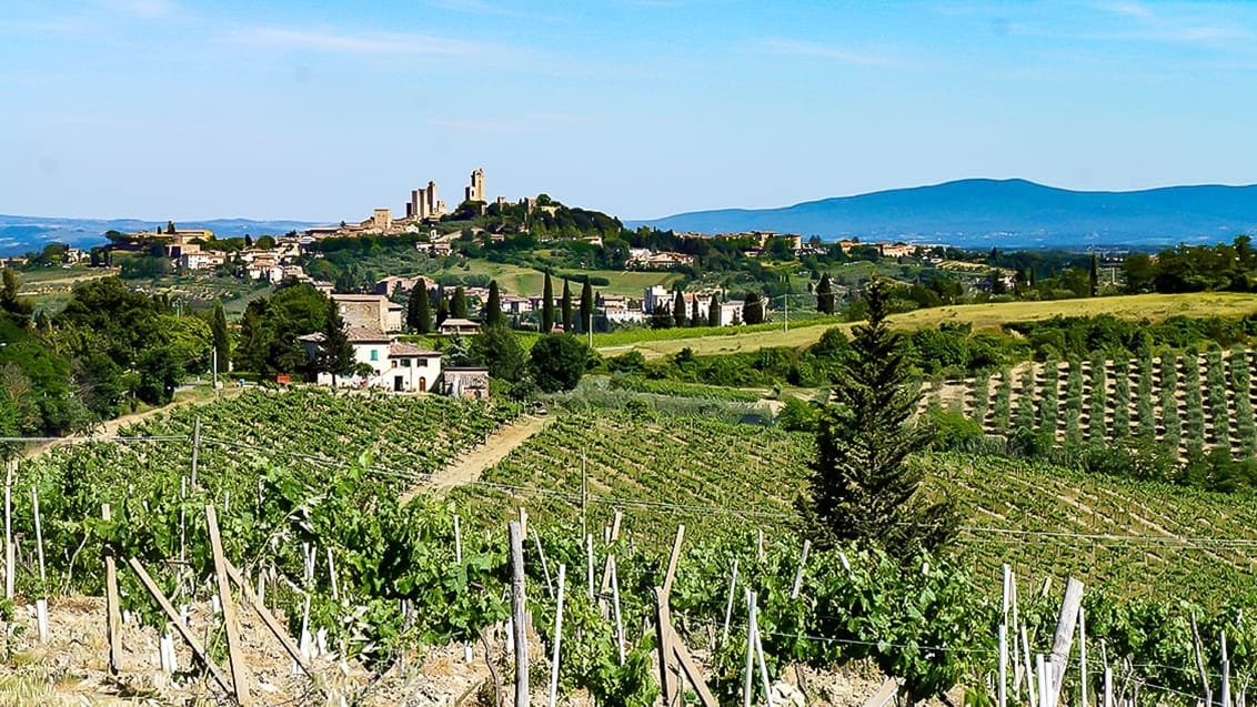 Vandreferie i Toscana