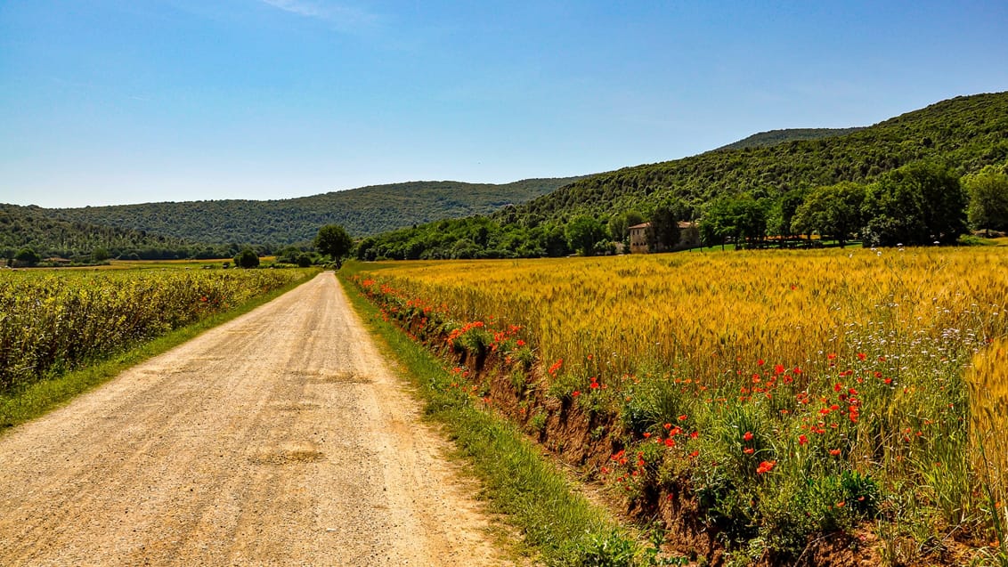 Vandreferie i Toscana