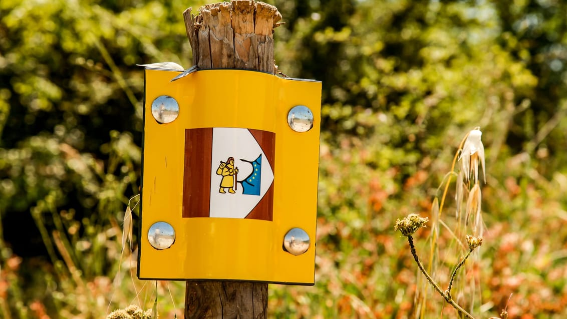 Via Francigena sign