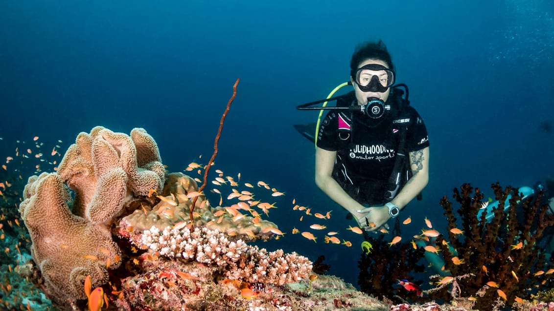 Nyd de flotte koraller under havets overfalde i Maldiverne