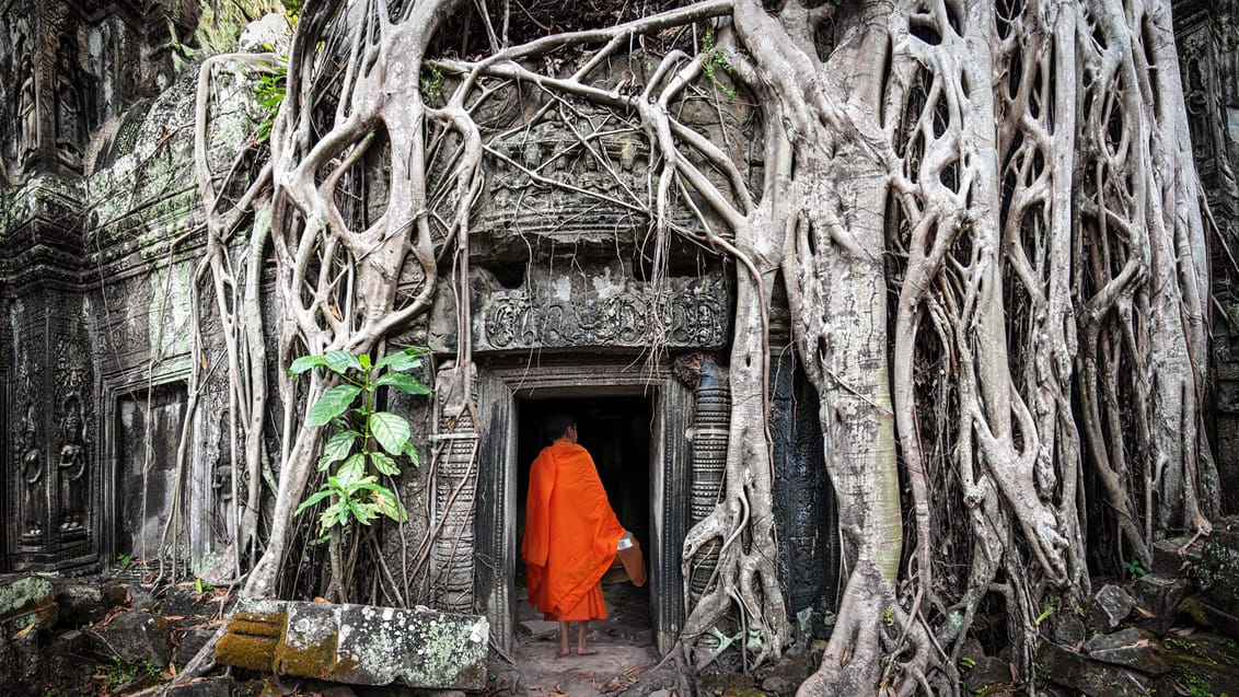 Munk i Angkor Wat