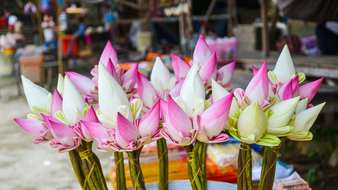 Lotus tempel i Oudong