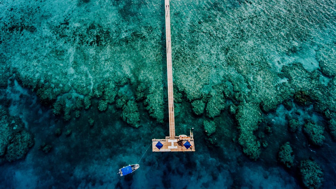 Husrevet på Malamala Beach Club byder på fantastisk snorkling