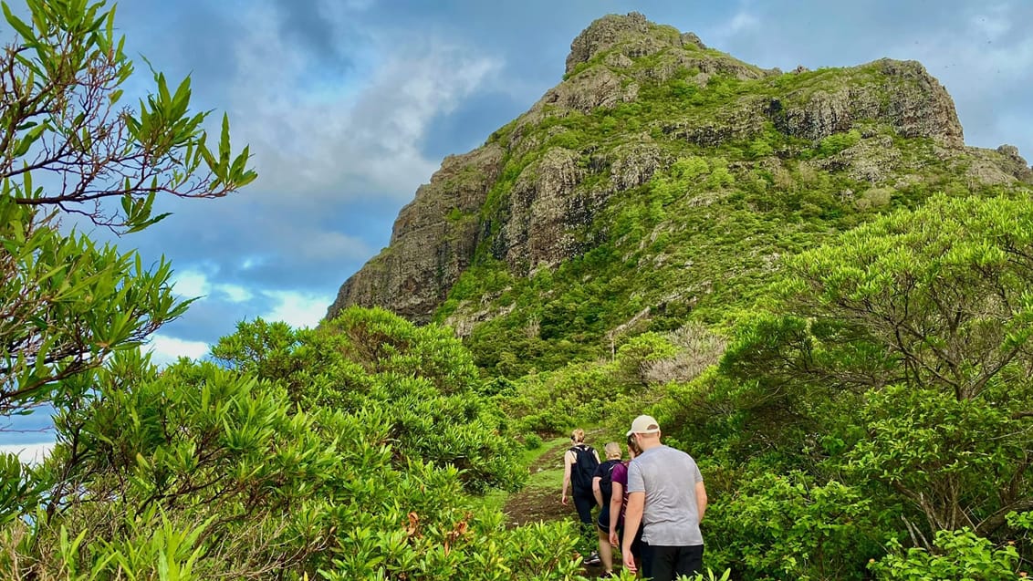 Hike på Le Morne