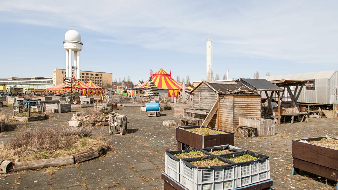 Ved Tempelhofer Feld er gamle landingsbaner blevet til en stor urban park