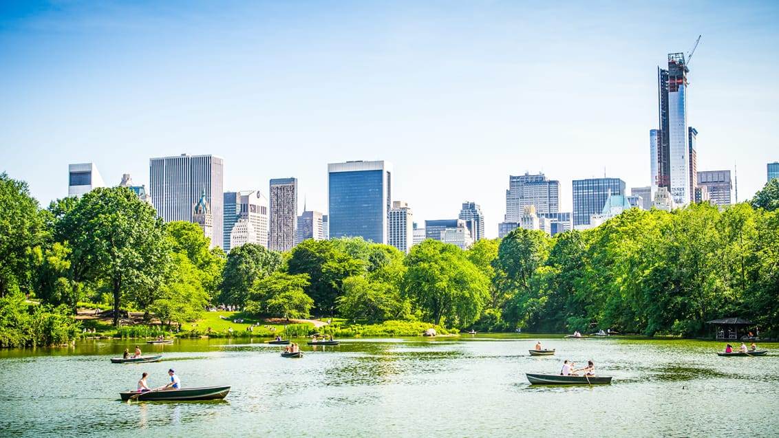 New York set fra byens grønne hjerte, Central Park