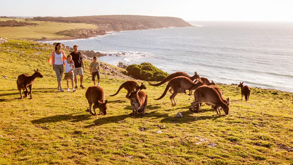 Kangaroo Island