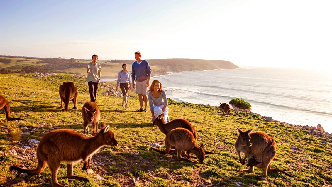 Kangaroo Island