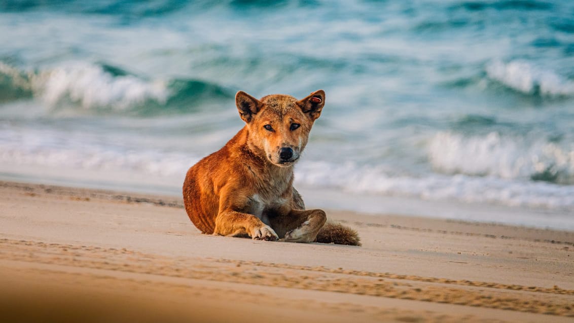 Kgari (Fraser Island)