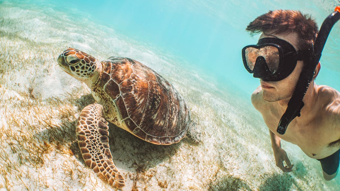 Lizard Island Resort på Great Barrier Reef