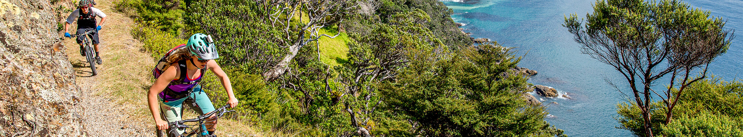 New Zealand i bil & autocamper