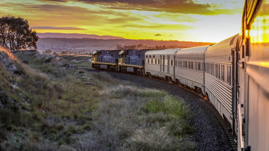 Togrejser er populære som aldrig før og på denne rejse til Australien får du muligheden for at opleve to af de helt store togrejser i verden, nemlig Indian Pacific og The Ghan.