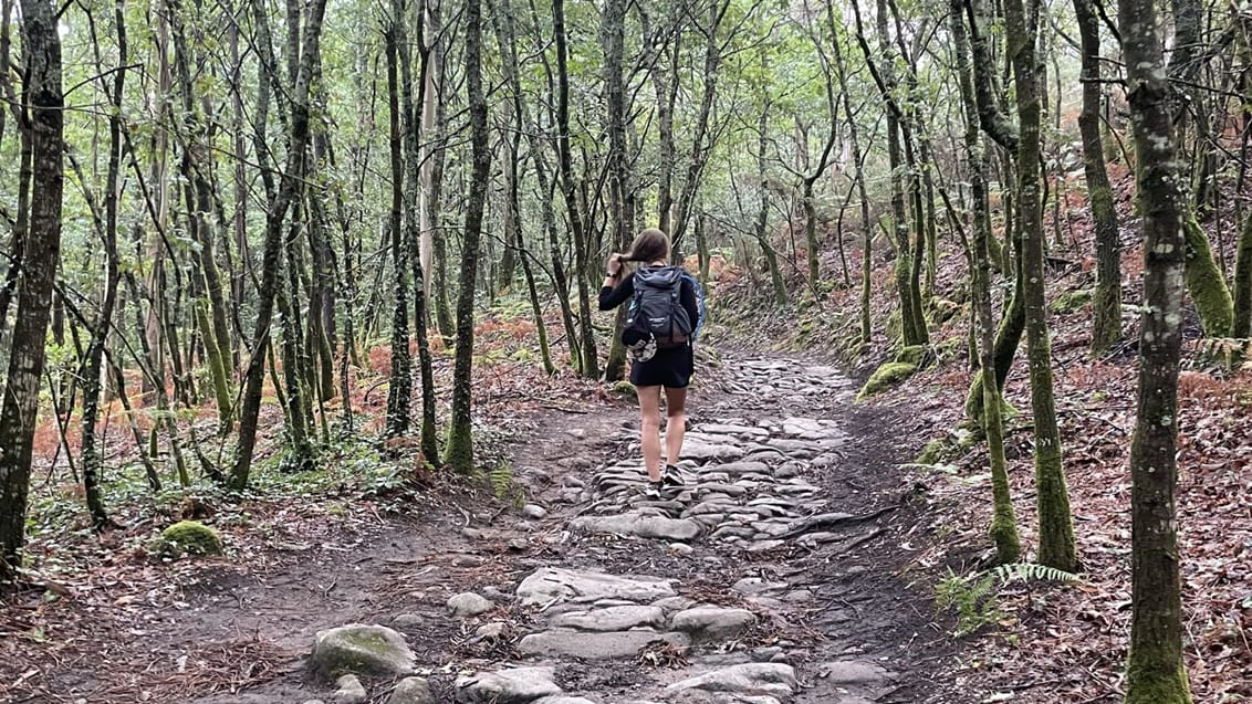 Camino Portugues, brosten, Spanien