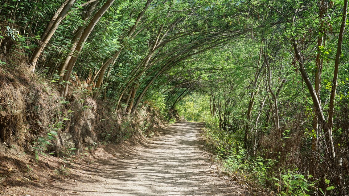 Camino Portugues, Caldas de Rei, Spanien