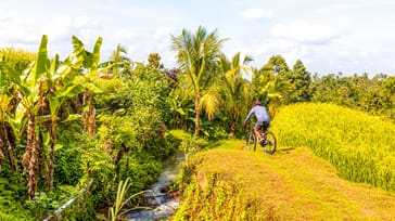 Mountainbike Adventure på Bali og Nusa Penida