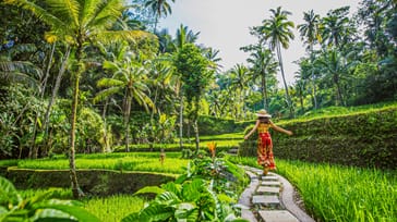 Udforsk Bali