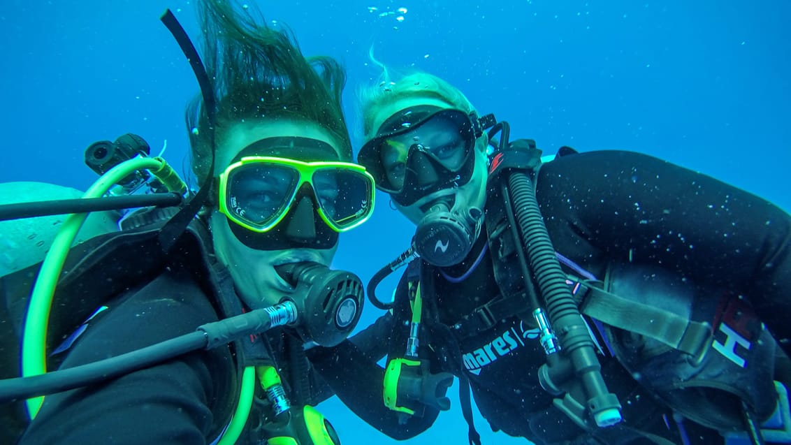 I Mexico finder du dykning i verdensklasse