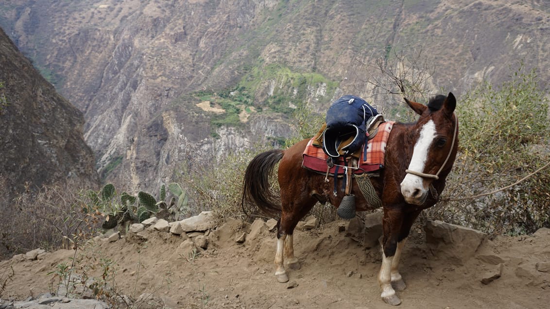 Trek til Choquequirao