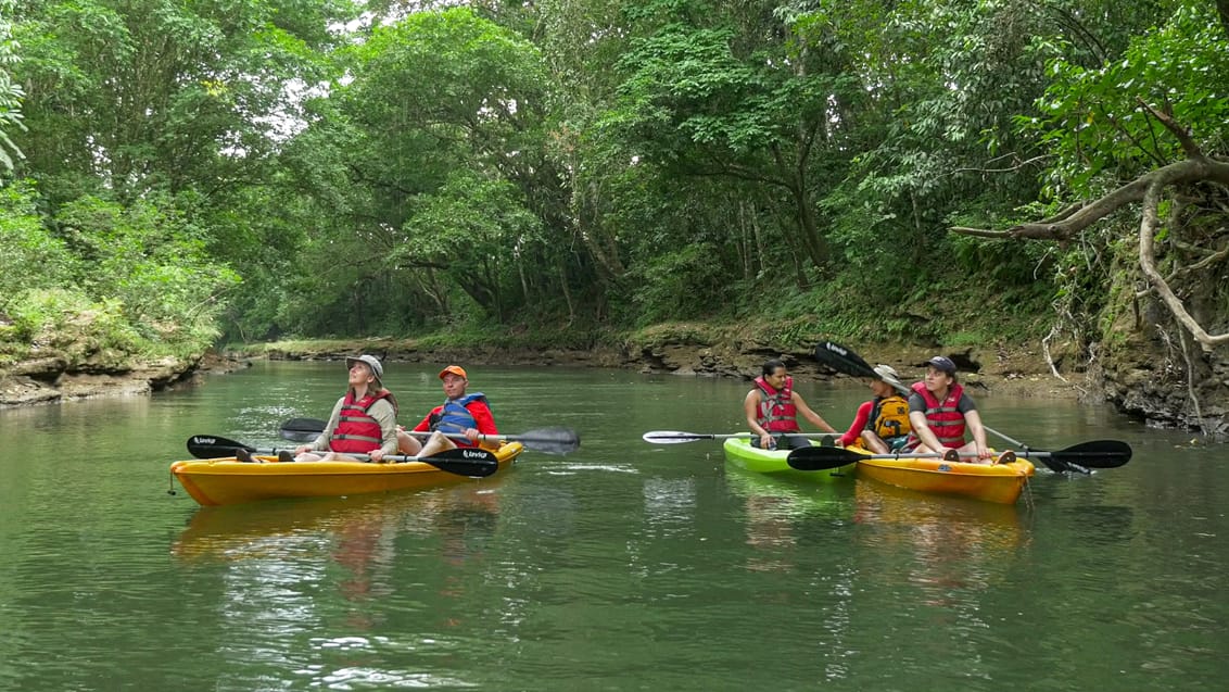 Maquenque Eco Lodge