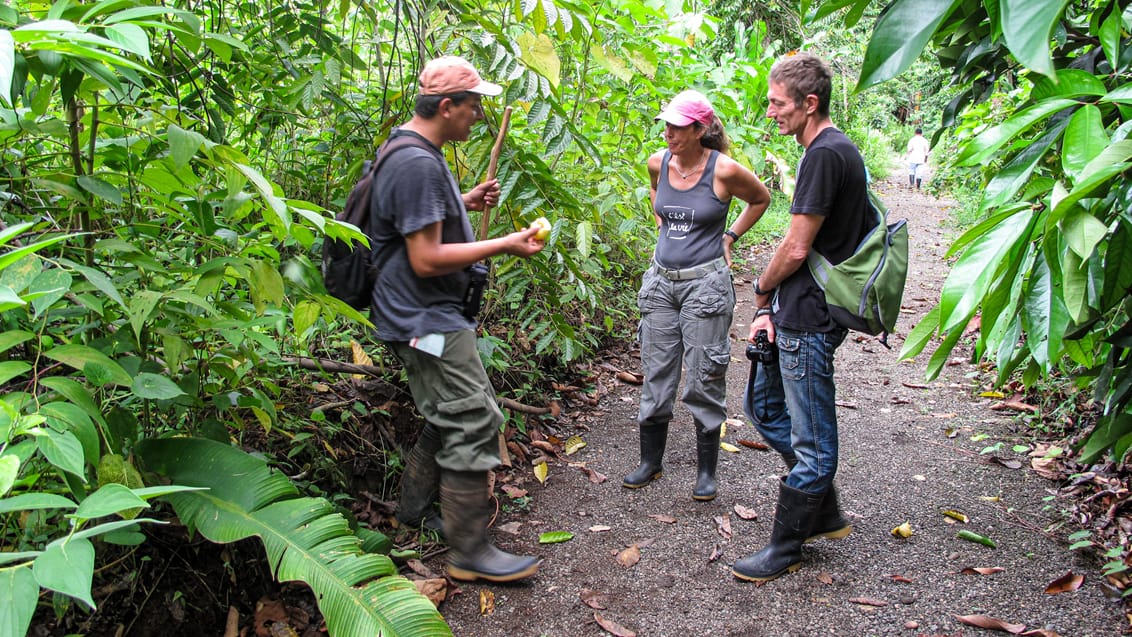 Maquenque Eco Lodge