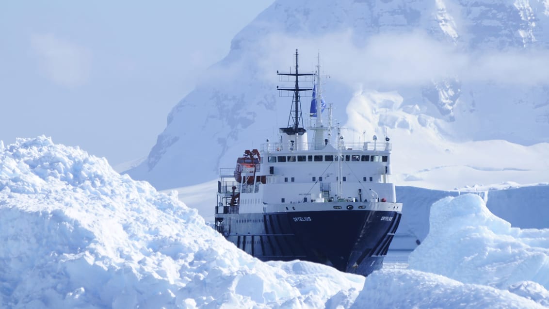 Tag med Jysk Rejsebureau på eventyr til Antarktis, Falklandsøerne og South Georgia