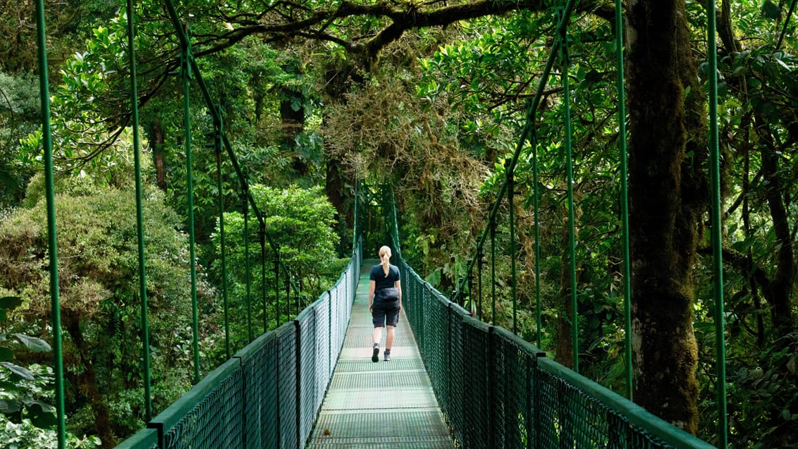 Hanging bridges, Costa Rica